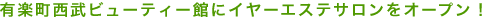 �L�y�������r���[�e�B�[�قɃC���[�G�X�e�T����