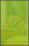 ���{�C���[�G�X�e����Ƃ�